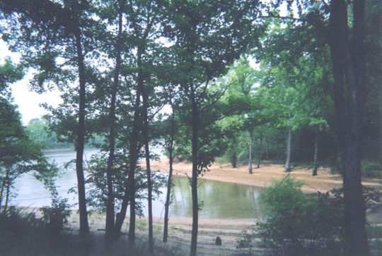 cove_beach