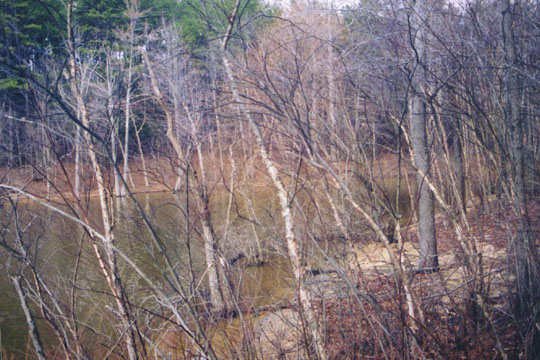 cove_flood