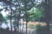 cove_beach