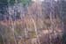 cove_flood