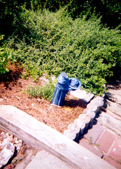 yard1_headless_stanthony