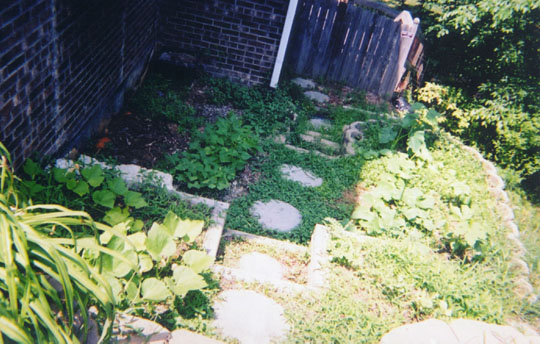 yard7_side_garden