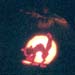 halloween0_pumpkin_cat