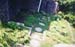 yard7_side_garden