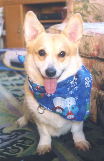 sam