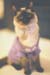 allcats_sweaterset