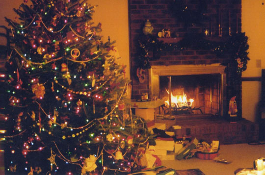 2-1_homey_xmas