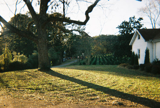 treefarm2_7141311-R1-033-15