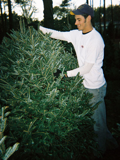 treefarm6_7141311-R1-023-10