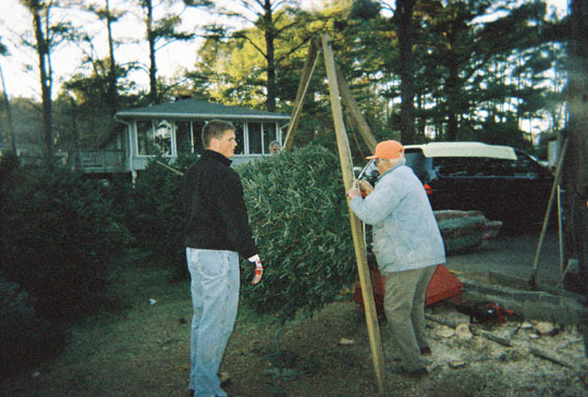 treefarm7_7141311-R1-021-9