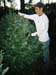 treefarm6_7141311-R1-023-10