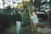 treefarm7_7141311-R1-021-9