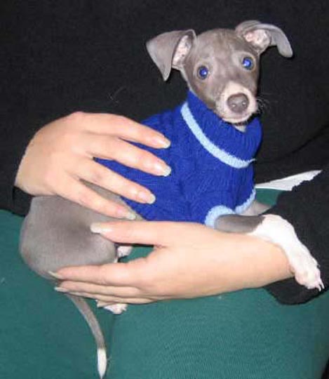 9-7_blue_sweater