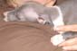 1_sleeperhold_close
