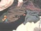 6_find_me