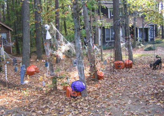 decor_frontyard_1