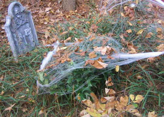 decor_frontyard_body