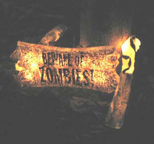 eve_1_zombiesign