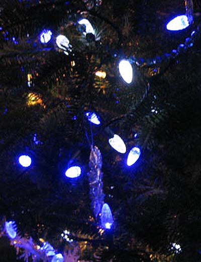 nye_ 037