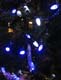nye_ 037