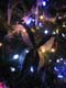 nye_ 039