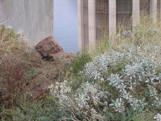 hoover_dam_7