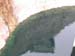 hoover_dam_19