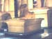 luxor_lion