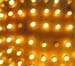 neon_cxn_closeup