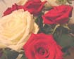 xmas_005