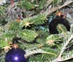 xmas_010_tree_05