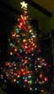 xmas_010_tree_15