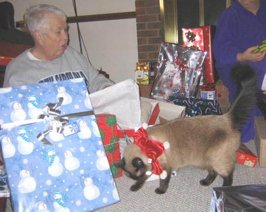 xmas_harris_019