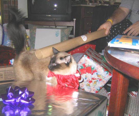 xmas_harris_020-2