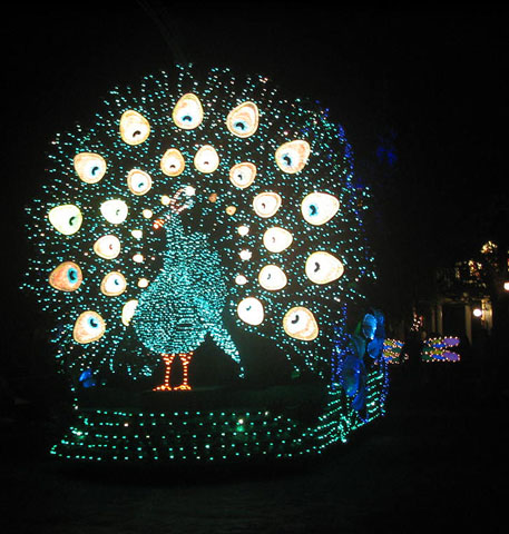 disney_010mk_039