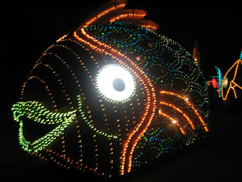 disney_010mk_050