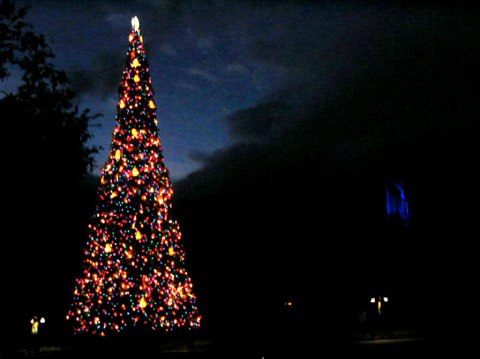 disney_mgm145_111