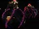 disney_010mk_028