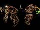 disney_010mk_048