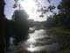 disney_020po005_192