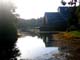 disney_020po060_196