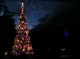disney_mgm145_111
