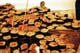 095casino009_sushi_1203643-R2-012-4A