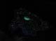 110generation013_sky077
