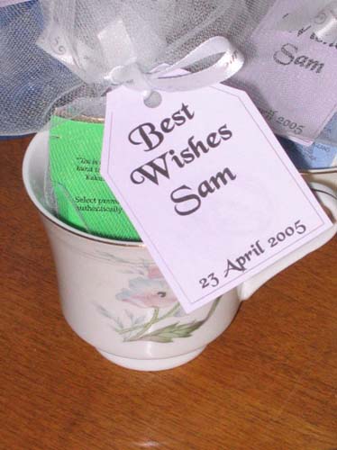 006-1sams_shower_ 018