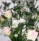 019IMG_2843