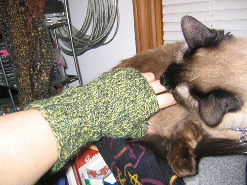 006knit006IMG_2810