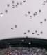 018sams_shower_ 051