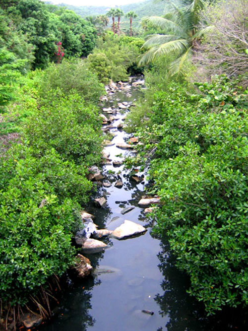 21_underbridge_swills_-027