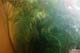 23_tropical_1184813-R10-001